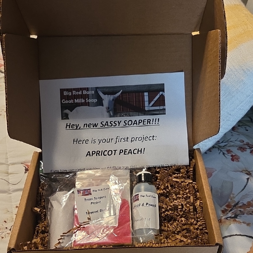 Goat Milk Soap Kit - Apricot Peach